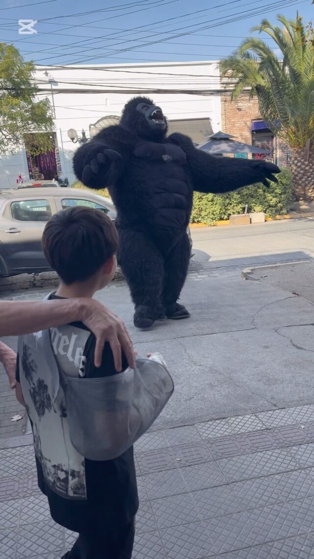 La mega sorpresa llegó al barrio y a nuestro Bazar de Emprendedores.
Los esperamos hoy sábado hasta las 21hrs junto a #kingkong 
.
Buscamos marcar la diferencia en el barrio, 
Somos Publikt tu mejor opción!